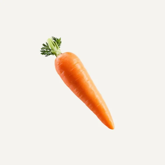 Orange Carrot